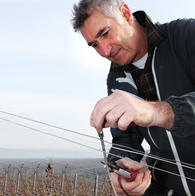 Champagne Nowack-Layour