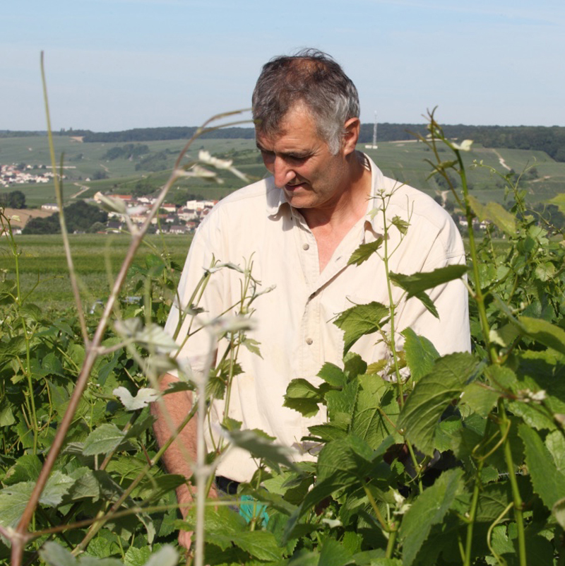 Champagne Nowack-Layour