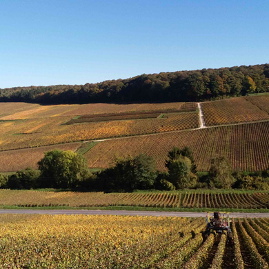 Champagne Nowack-Layour